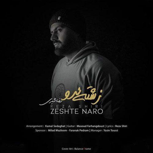 دانلود آهنگ زشته نرو
